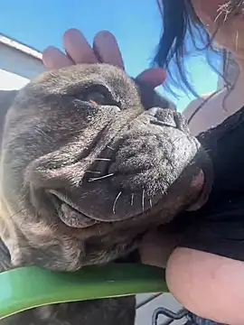 skinwalkingzombie online show from April 29, 8:37 pm