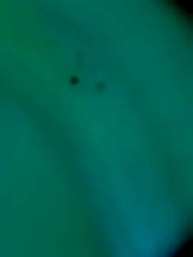 sm4lld1ck online show from October 31, 11:39 pm