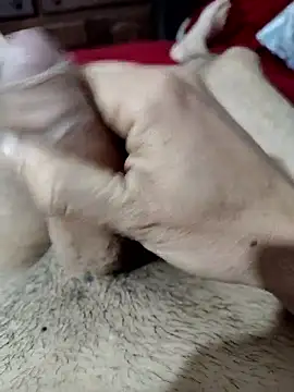 Snapshot of quierodarleche69 chatting on October 31, 2:01 am quierodarleche69 online show from October 31, 2:01 am