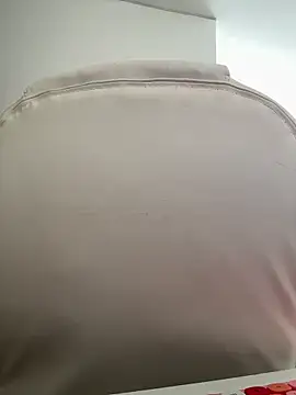 pamell col online show from November 2, 1:24 pm