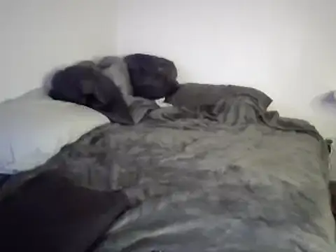 Iliketocooksquirt25 online show from March 3, 8:05 am