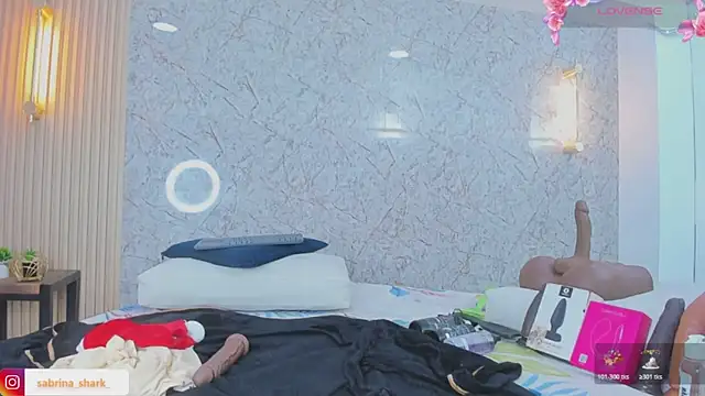 Snapshot of sabrina_shark_ chatting on December 4, 3:16 am sabrina shark online show from December 4, 3:16 am