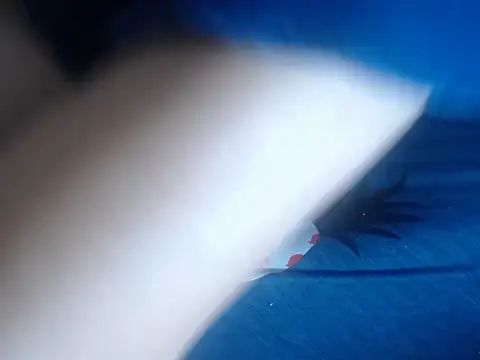 69loveme09 online show from February 4, 9:07 am