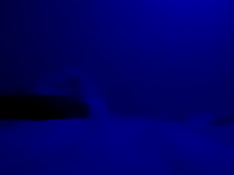 Blkstylion online show from November 27, 8:22 pm