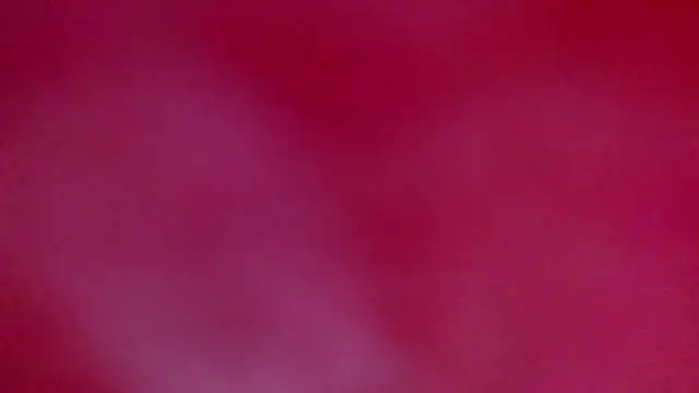 ray and 666 online show from January 18, 7:45 am