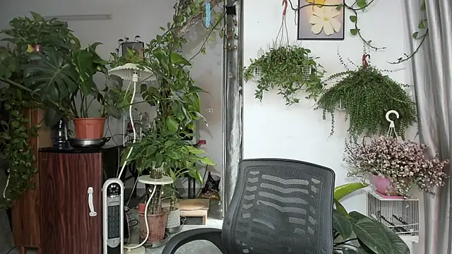 Oliver Nl online show from March 27, 3:45 am