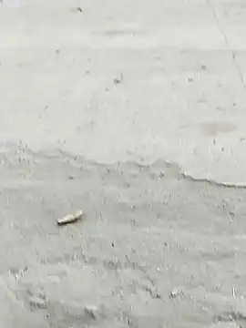 Snapshot of Monster_Bigdick chatting on December 7, 10:56 am Monster Bigdick online show from December 7, 10:56 am