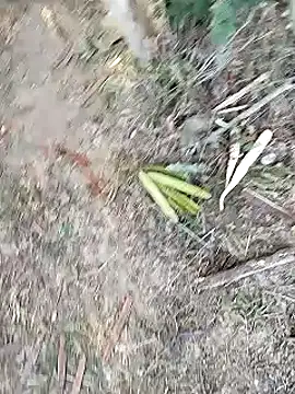 Snapshot of Monster_Bigdick chatting on January 12, 11:07 am Monster Bigdick online show from January 12, 11:07 am