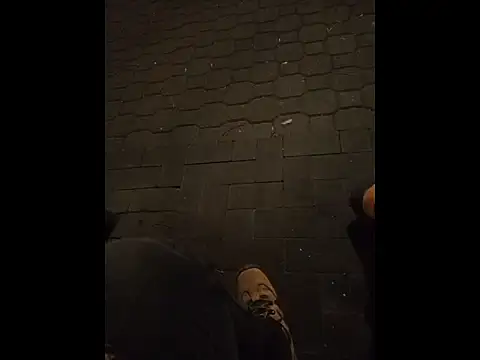 Snapshot of perversalus chatting on November 9, 4:11 am perversalus online show from November 9, 4:11 am