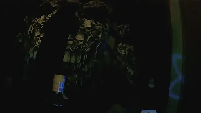 Snapshot of perversalus chatting on December 2, 11:45 pm perversalus online show from December 2, 11:45 pm