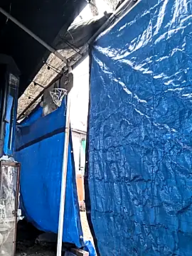 TexaSMESS 37 online show from February 8, 3:59 pm