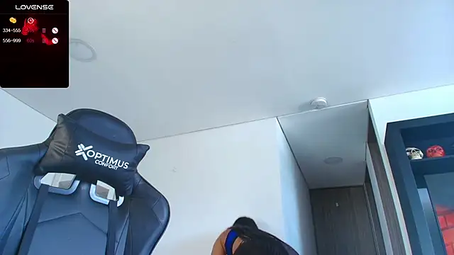 Snapshot of Pamela-fit chatting on February 5, 11:17 pm Pamela-fit online show from February 5, 11:17 pm