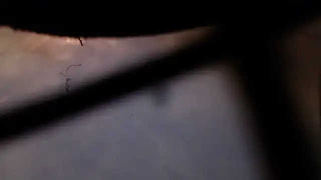 Snapshot of Cordt30 chatting on February 12, 4:46 pm Cordt30 online show from February 12, 4:46 pm