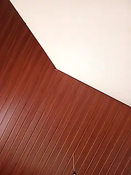 Snapshot of beegbo chatting on December 23, 6:11 am beegbo online show from December 23, 6:11 am