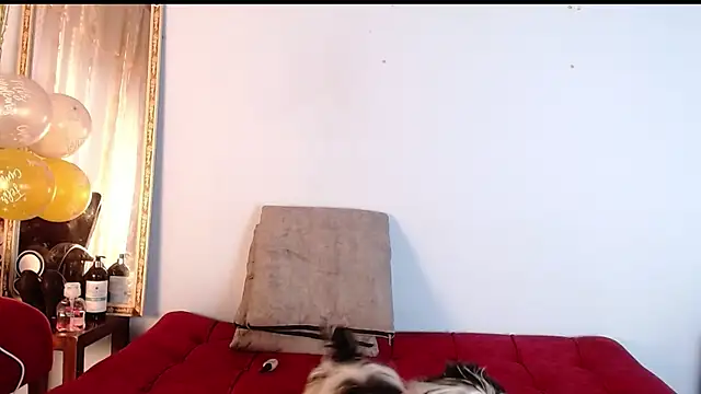 Tamararios online show from November 27, 10:01 pm