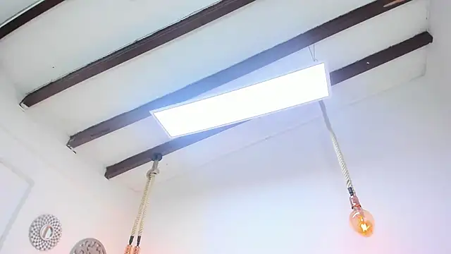 Oriana Guzman online show from February 26, 3:08 pm