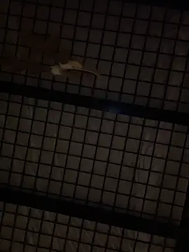 SexyB214 online show from December 14, 12:44 pm