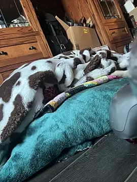 SexyB214 online show from March 7, 12:15 am