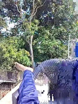 ErRakesh1 online show from November 10, 5:28 am