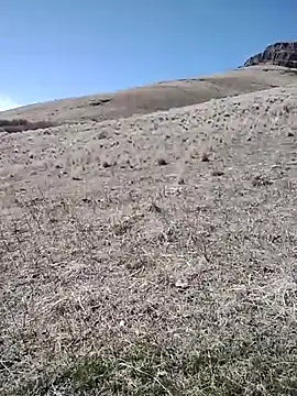 rockpimp online show from March 9, 6:56 pm