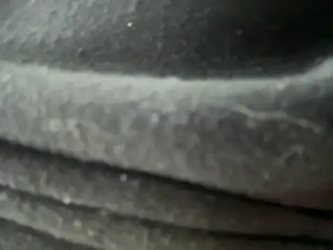 Mila Morgan online show from January 30, 12:18 am