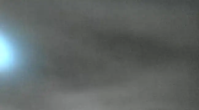 canela wet online show from January 18, 1:08 pm