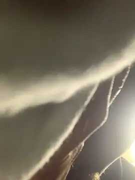 Boysex227 online show from November 11, 11:16 pm