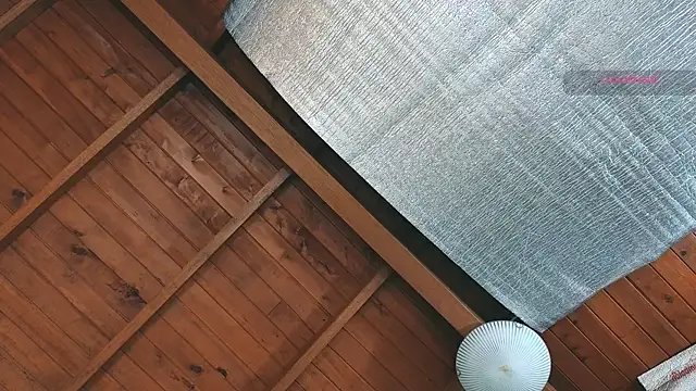 SilvaBranko online show from March 27, 9:03 pm