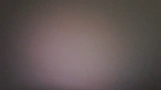 Vekie 007 online show from July 4, 5:46 am