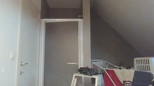 Vekie 007 online show from July 17, 4:08 am