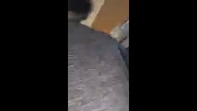 Armyexhibitionistvet online show from October 20, 8:15 am