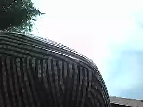 Javan  online show from January 15, 8:41 am