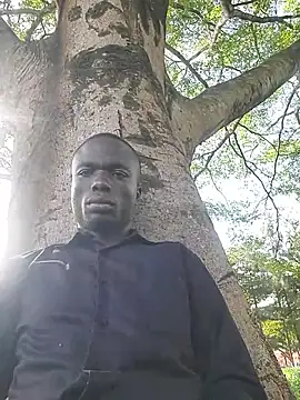 Javan  online show from October 8, 1:09 pm