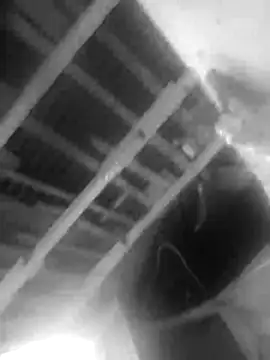 Jerryhottt online show from November 20, 3:18 am