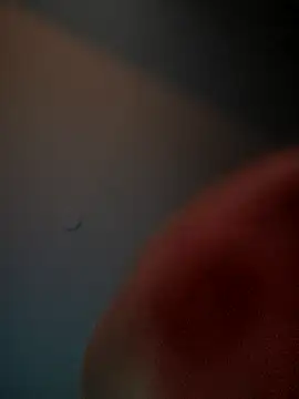 lolabun247 online show from November 2, 10:50 am