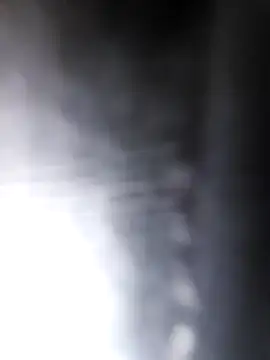 studboy1111 online show from December 31, 6:46 pm