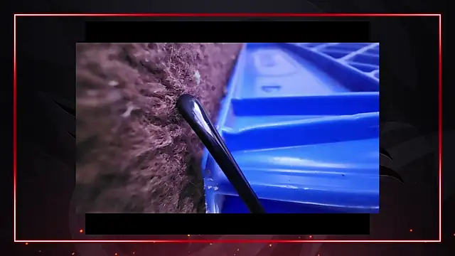 AriellaTaylor online show from December 11, 4:42 pm