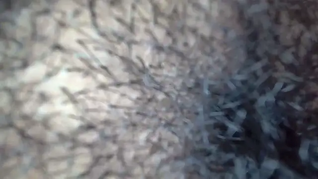 Snapshot of white_sexy_ chatting on November 29, 11:41 pm white sexy online show from November 29, 11:41 pm