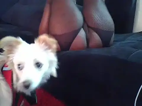 KikiLovesD online show from December 23, 2:07 pm