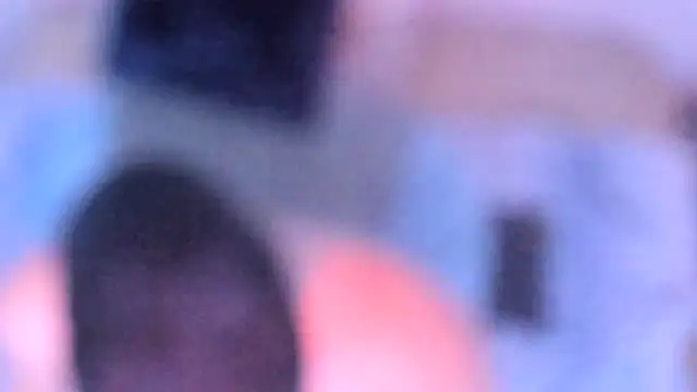 stillwild online show from December 14, 10:20 am