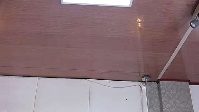 PalmerBeaumont online show from January 31, 11:13 pm