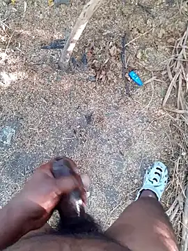 Ajith mvi online show from April 6, 2:31 am