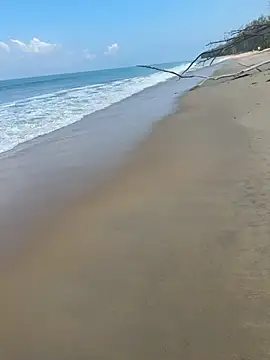 Snapshot of sexntease chatting on March 5, 3:08 am sexntease online show from March 5, 3:08 am