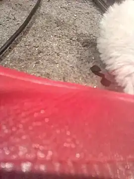 Snapshot of lubme chatting on October 7, 8:00 am lubme online show from October 7, 8:00 am