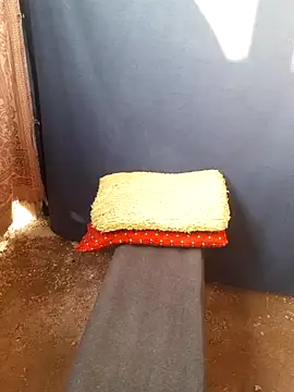 Burhade-- online show from October 12, 11:31 am