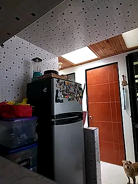 Mariam Gomezxxx online show from October 6, 3:53 pm