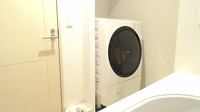 Kakushi dori online show from December 16, 5:00 pm