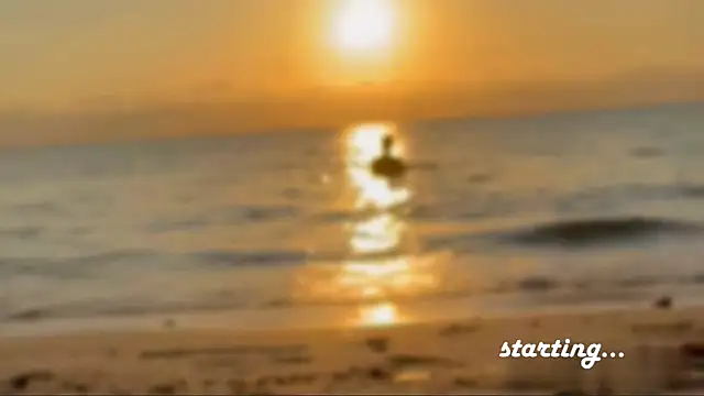 Liam Taylor online show from February 19, 12:00 pm