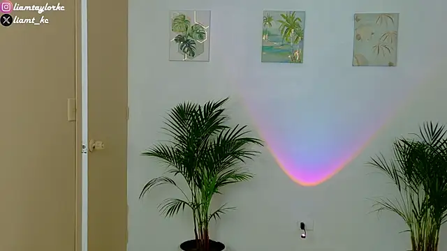 Liam Taylor online show from December 3, 10:19 pm