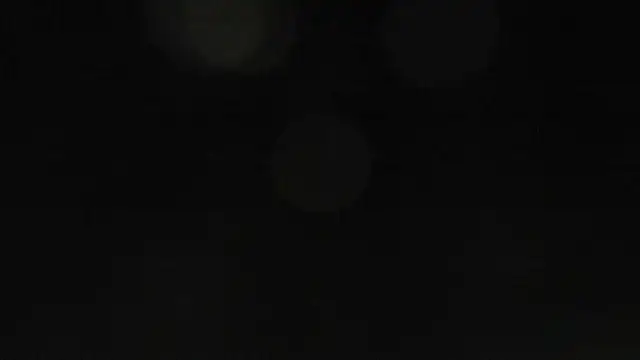 Bitch Coin online show from November 17, 10:43 am